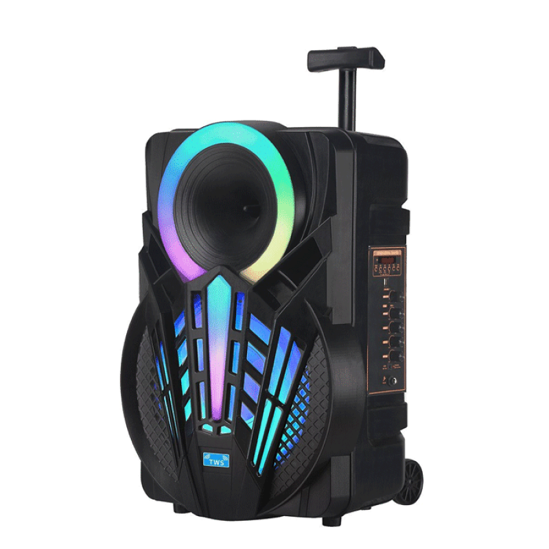 PZX GZ-P12 Bluetooth Φορητό ηχείο - Wireless Portable Speaker 12''